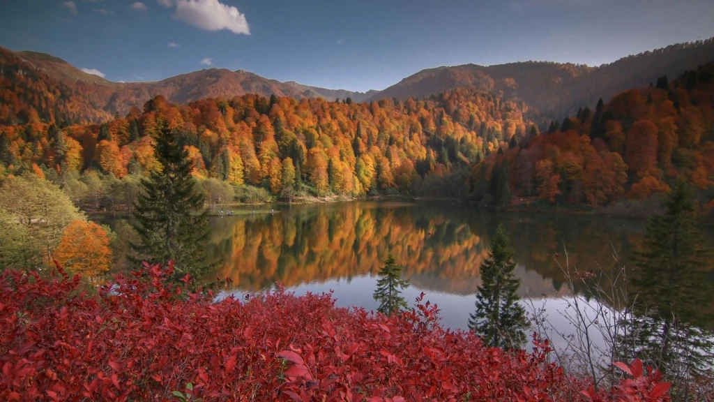 Kurban Bayramı Özel Uçaklı İstanbul Çıkışlı  İkonik Karadeniz Yaylalar & Batum Turu 4 Gece Otel Konaklamalı