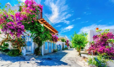 Aegean Tours
