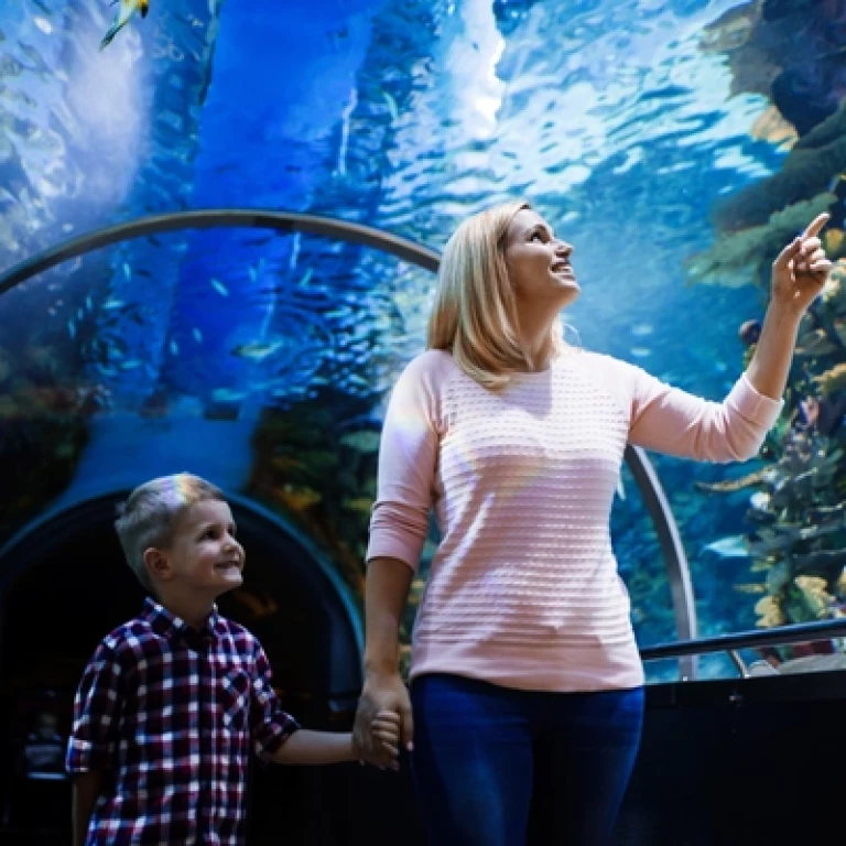 Antalya Aquarium Tour – Tunnel Aquarium and Face to Face Museum (Including Transfer)