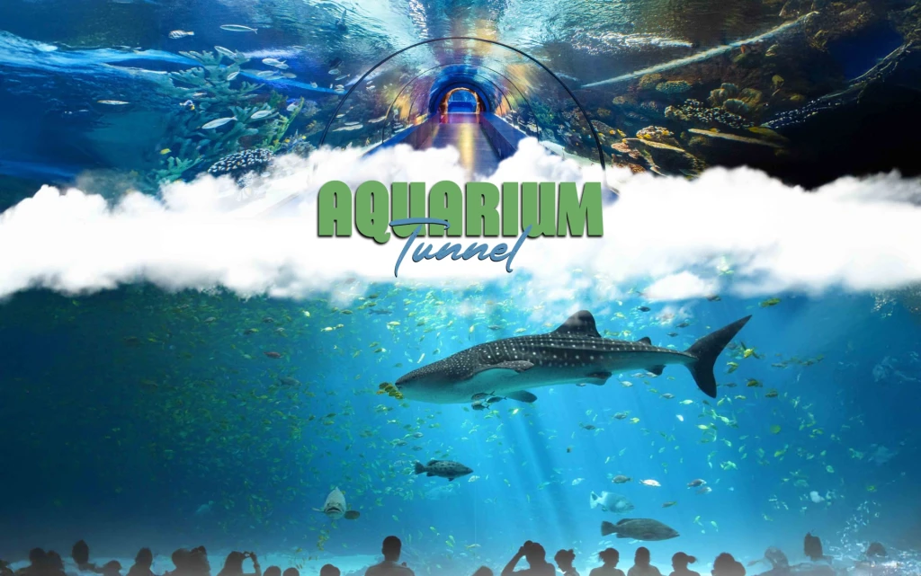 Antalya Aquarium Tour – Tunnel Aquarium and Face to Face Museum (Including Transfer)