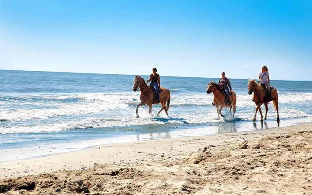 Antalya At Turu – Doğa İçinde Horse Riding Deneyimi (Transfer Dahil)