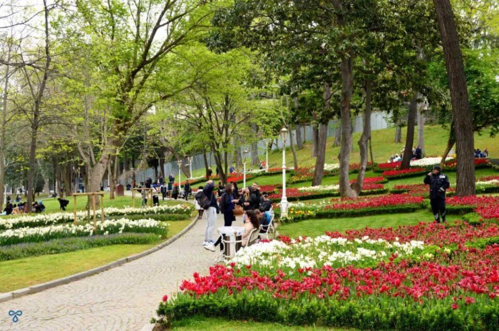 Приватная пешая экскурсия по скрытым жемчужинам Стамбула: откройте для себя секретные районы