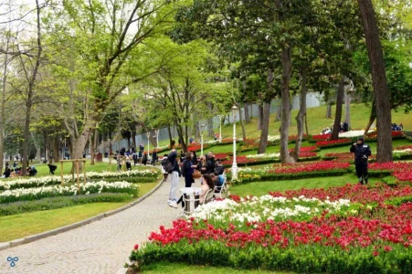 Istanbul Verborgen Pareltjes Privé Wandeltour: Ontdek Geheime Wijken