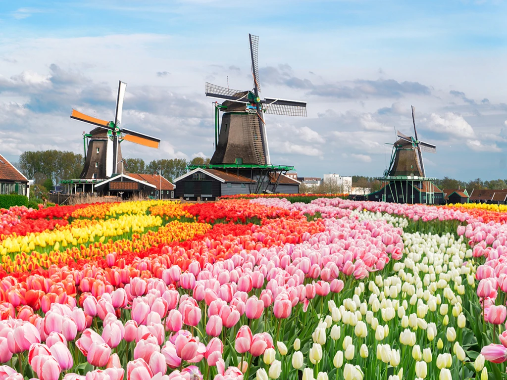 ΜΥΛΟΙ ΤΗΣ ΟΛΥΜΠΙΑΣ ΕΥΡΩΠΗΣ - ΠΑΡΙΣΙ - ΓΕΡΜΑΝΙΑ ΜΕ THY