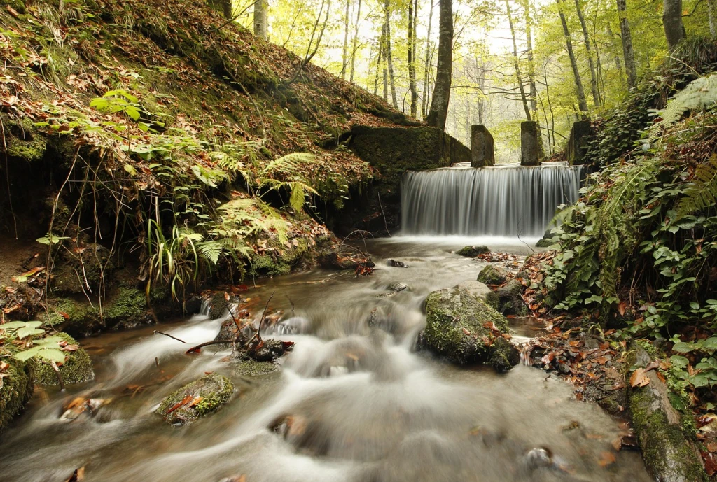 Yedigöller National Park – Tailor-Made Tours from Istanbul
