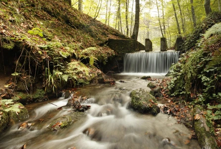 耶迪戈勒国家公园 - 从伊斯坦布尔出发的量身定制旅游