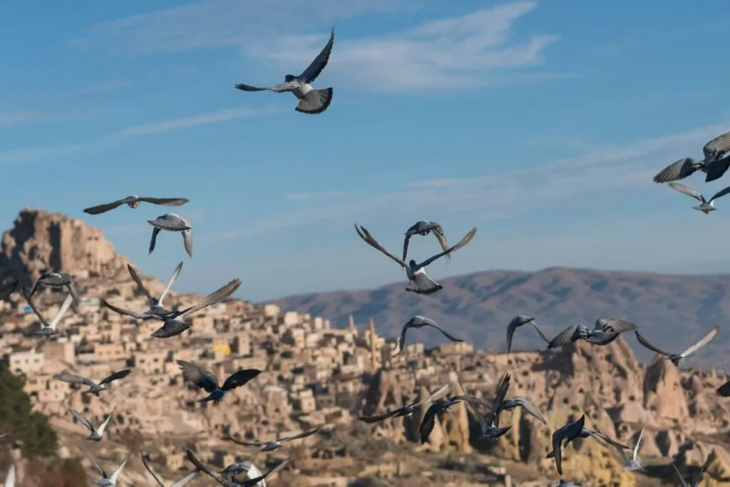 Cappadocia Green Tour | Underground City & Ihlara Valley