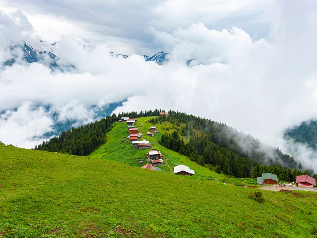 КАРАДЕНИЗСКИЙ ВЕТЕР И ТУР В БАТУМИ 4 НОЧИ