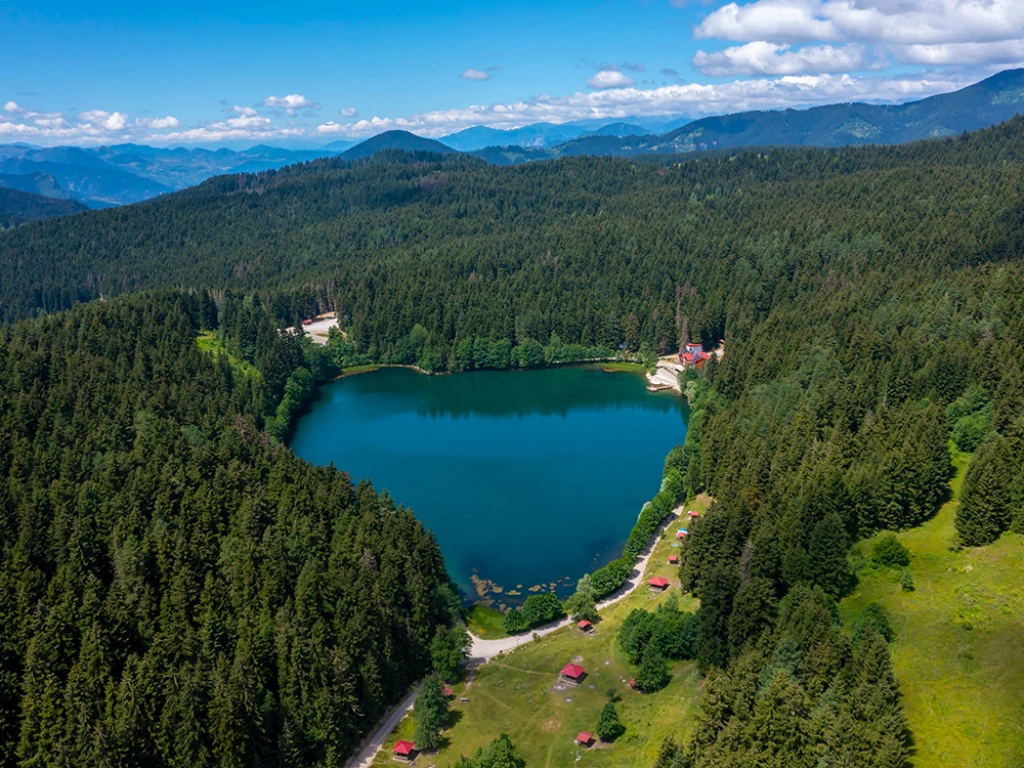 КАРАДЕНИЗСКИЙ ВЕТЕР И ТУР В БАТУМИ 4 НОЧИ