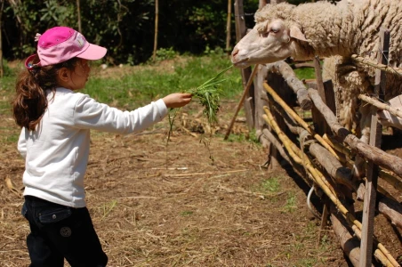 Farm Stay Holiday in Turkey | Organic Eco Living Experience