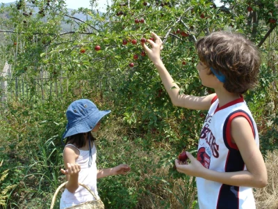 Farm Stay Holiday in Turkey | Organic Eco Living Experience