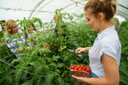 Farm Stay Holiday in Turkey | Organic Eco Living Experience