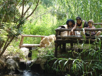 Farm Stay Holiday in Turkey | Organic Eco Living Experience