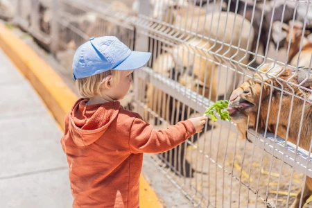 Farm Stay Holiday in Turkey | Organic Eco Living Experience