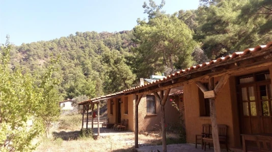 Farm Stay Holiday in Turkey | Organic Eco Living Experience