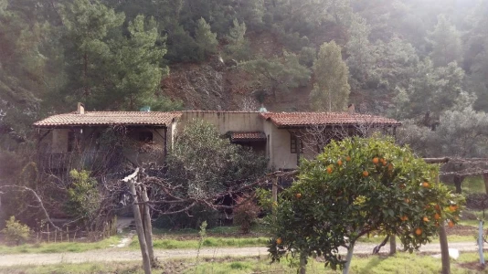 Farm Stay Holiday in Turkey | Organic Eco Living Experience