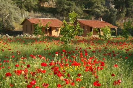 Farm Stay Holiday in Turkey | Organic Eco Living Experience