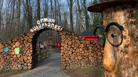 Günübirlik Maşukiye Cam Teras Ormanya Hobbit Evleri Turu Macera Parkı Sapanca Renkli Kaydırak Turu