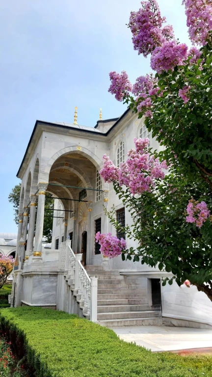 Istanbul: Topkapi Palace and Harem Museum Tour with Ticket
