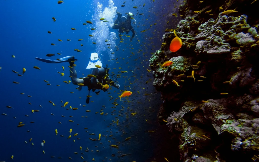 Alanya Scuba Diving Adventure: 2 Dives, Boat Trip & Lunch Included