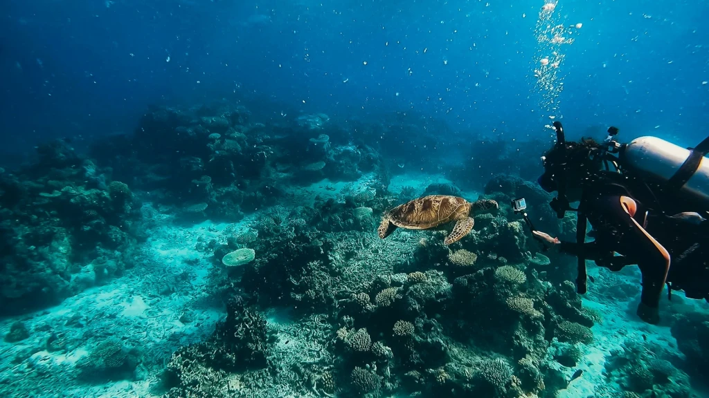 Alanya Scuba Diving Adventure: 2 Dives, Boat Trip & Lunch Included