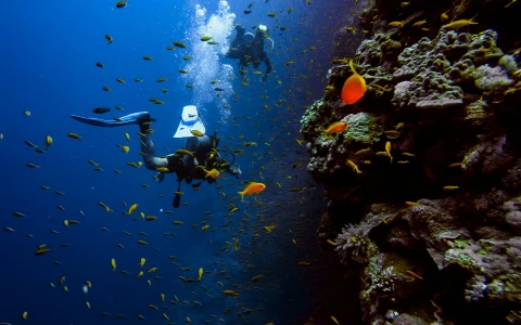 Alanya Scuba Diving Adventure: 2 Dives, Boat Trip & Lunch Included