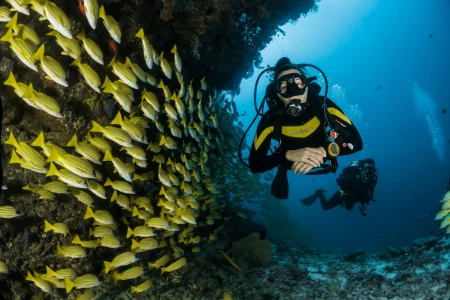 Alanya Scuba Diving Adventure: 2 Dives, Boat Trip & Lunch Included