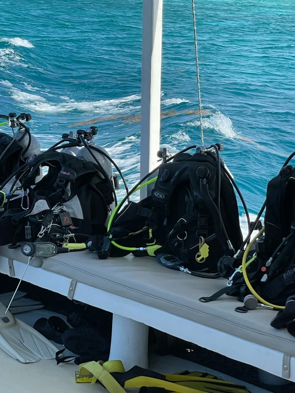 Alanya Scuba Diving Adventure: 2 Dives, Boat Trip & Lunch Included