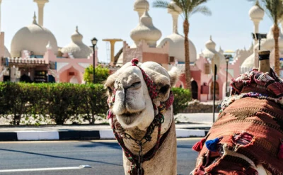 Sharm El Sheikh Masalı | 3 Gece | İstanbul Çıkış | AJet Havayolları | 2026 Dönemi