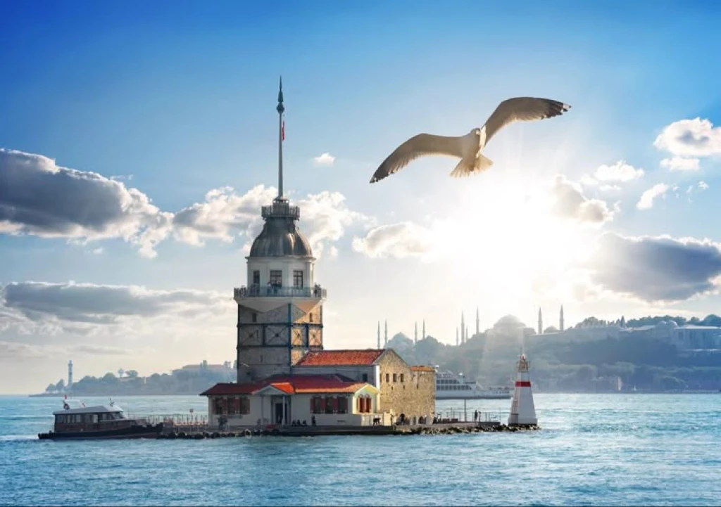 Istanbul: Bosphorus Strait Sightseeing Cruise & Audio Guide