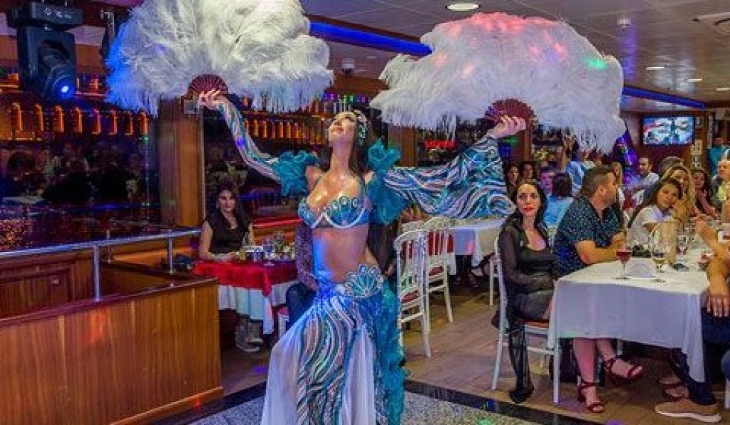 Istanbul: Bosphorus Dinner Cruise Incl. Drinks with Transfer