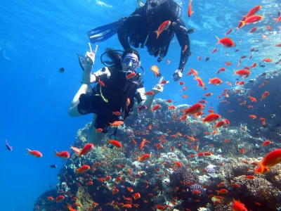 Sharm El Sheikh Turu Ekstra Turlar Dahil 5 Gece Konaklamalı