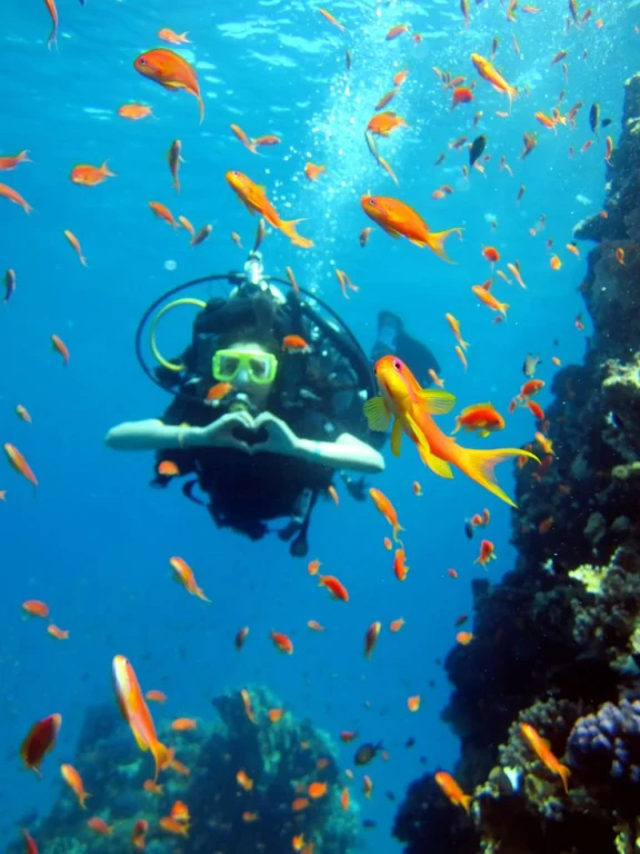 Antalya/Kemer: Scuba Diving Experience with 2 Dives & Lunch