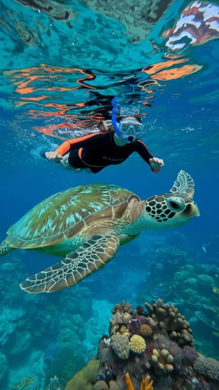 Antalya/Kemer: Scuba Diving Experience with 2 Dives & Lunch