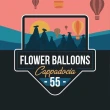 Flower Balloons
