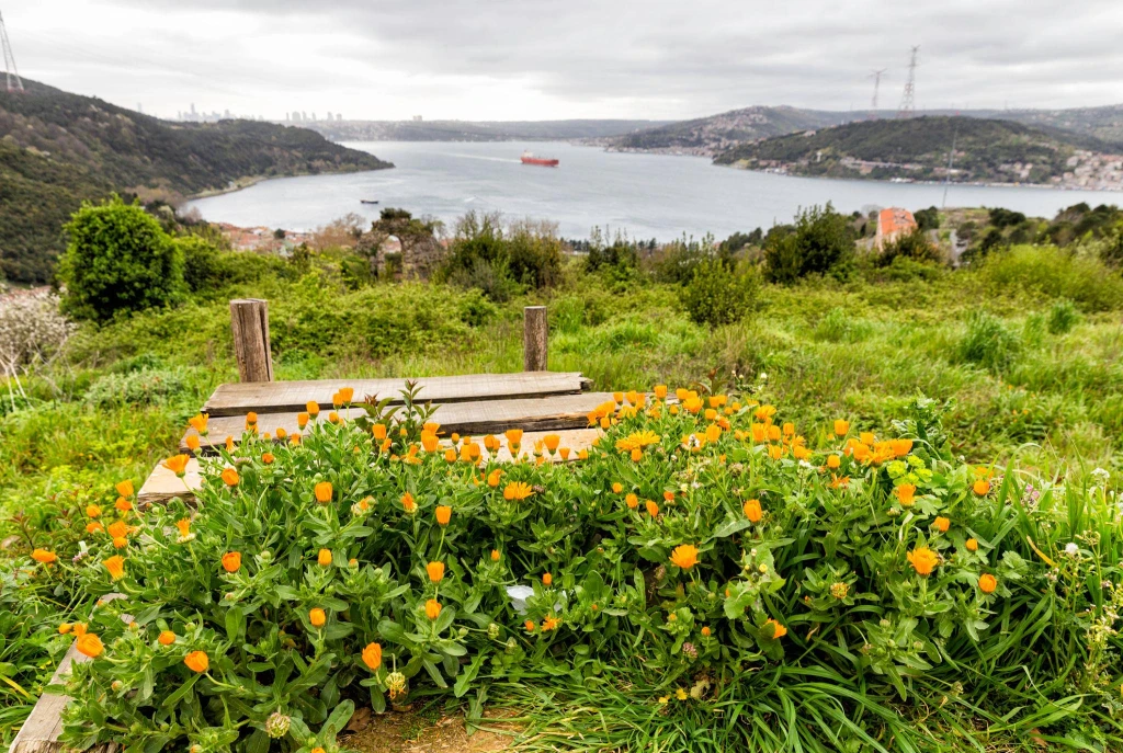 Yusa Hill and Bosphorus Private  Daily Walking and View Tour from Istanbul