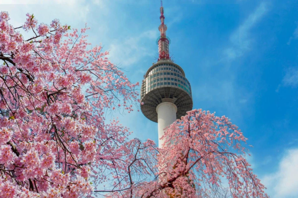 Petualangan JEPANG & KOREA DENGAN TURKISH AIRLINES