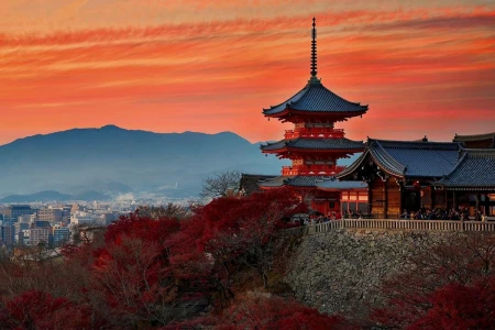 Petualangan JEPANG & KOREA DENGAN TURKISH AIRLINES