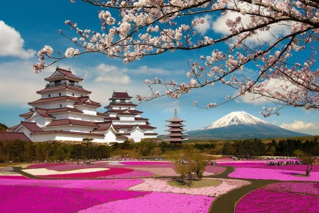 Petualangan JEPANG & KOREA DENGAN TURKISH AIRLINES