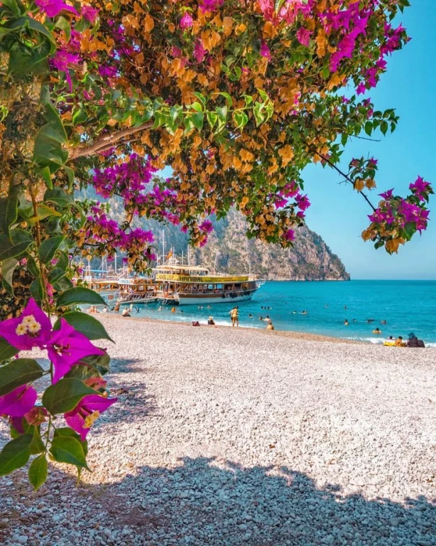 Ölüdeniz: 蝴蝶谷，圣尼古拉斯岛，包括午餐