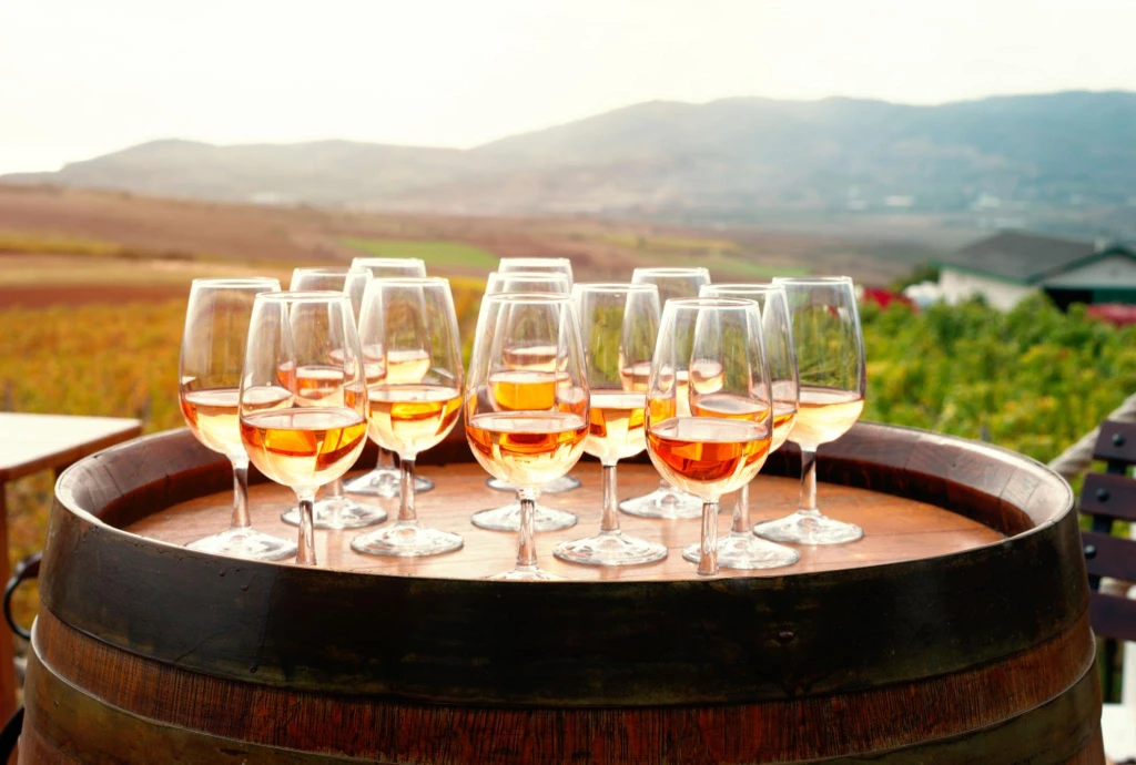 Tour de Vino y Atardecer en Bozcaada