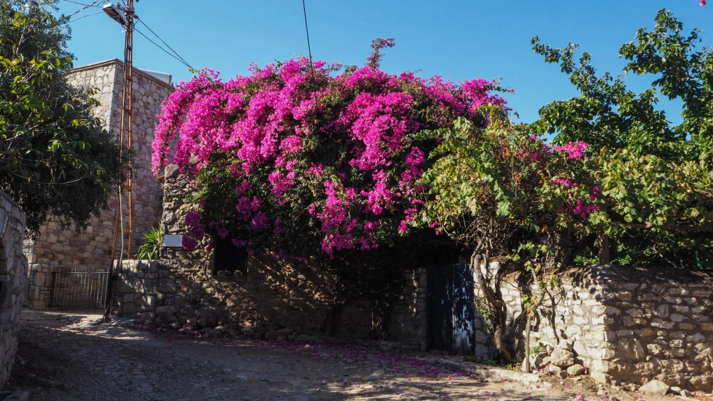 2-Day Datca Peninsula Tour from Istanbul by Flight | Slow Travel Escape