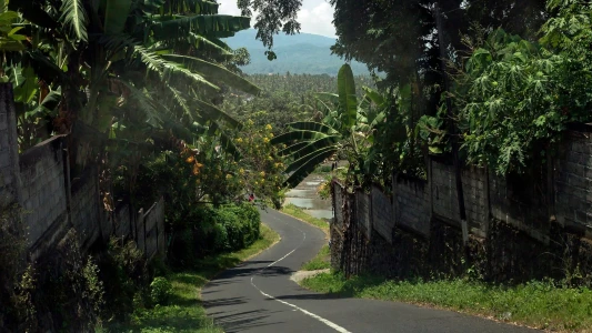 BALİ TURU Türk Hava Yolları ile 6 Gece