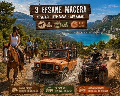 Safari Tours