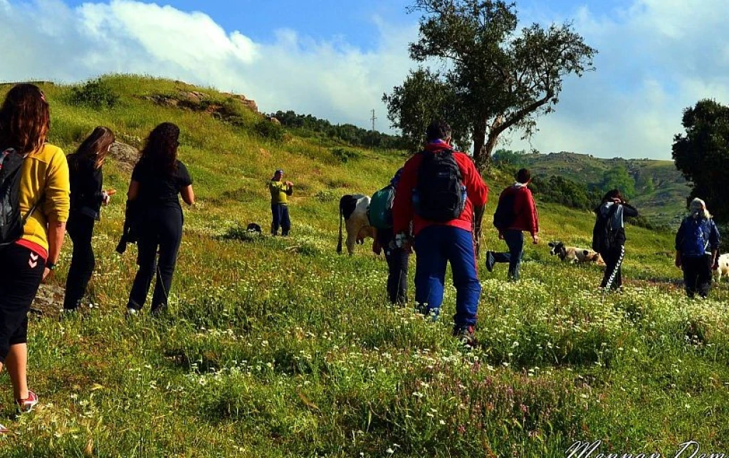 Kapıdağ Antik Tour