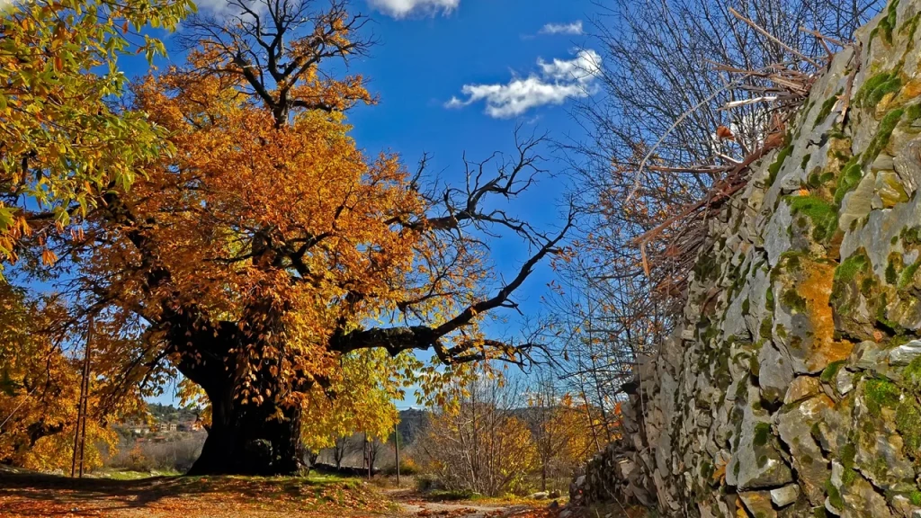 Side: Hidden Anatolia Day Trip with Cave & Village Visit