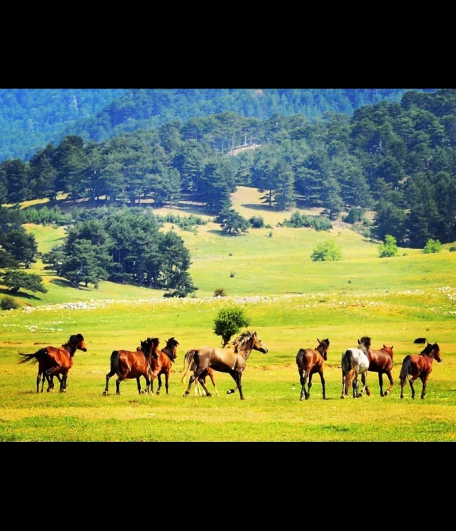Side: Hidden Anatolia Day Trip with Cave & Village Visit