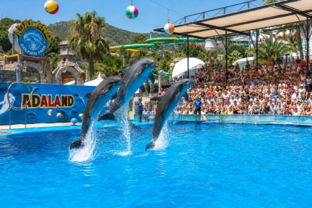 Kusadasi Adaland - Dolphinpark