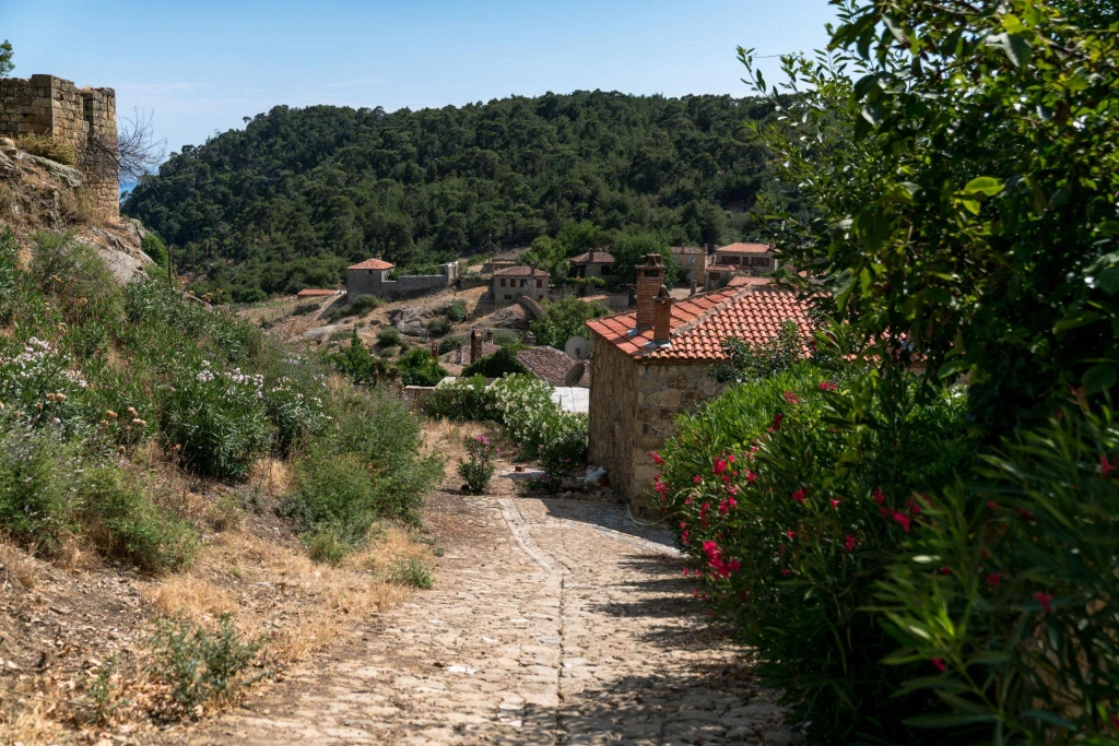 2 dager 1 natt Adatepe landsby og Kaz-fjellene tur fra Istanbul