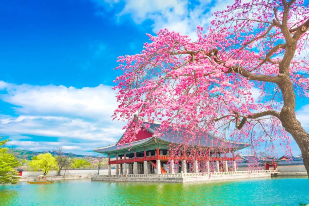 Singapur Airlines Große Japan Korea Tour (12 Nächte Hotelaufenthalt)